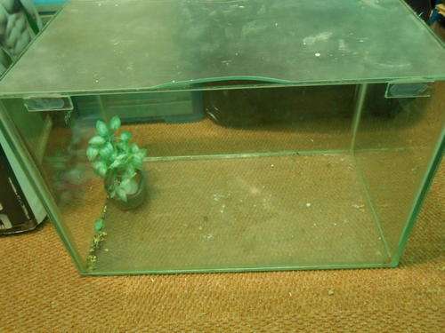 SALE!!!! Reptile Tank with Lid